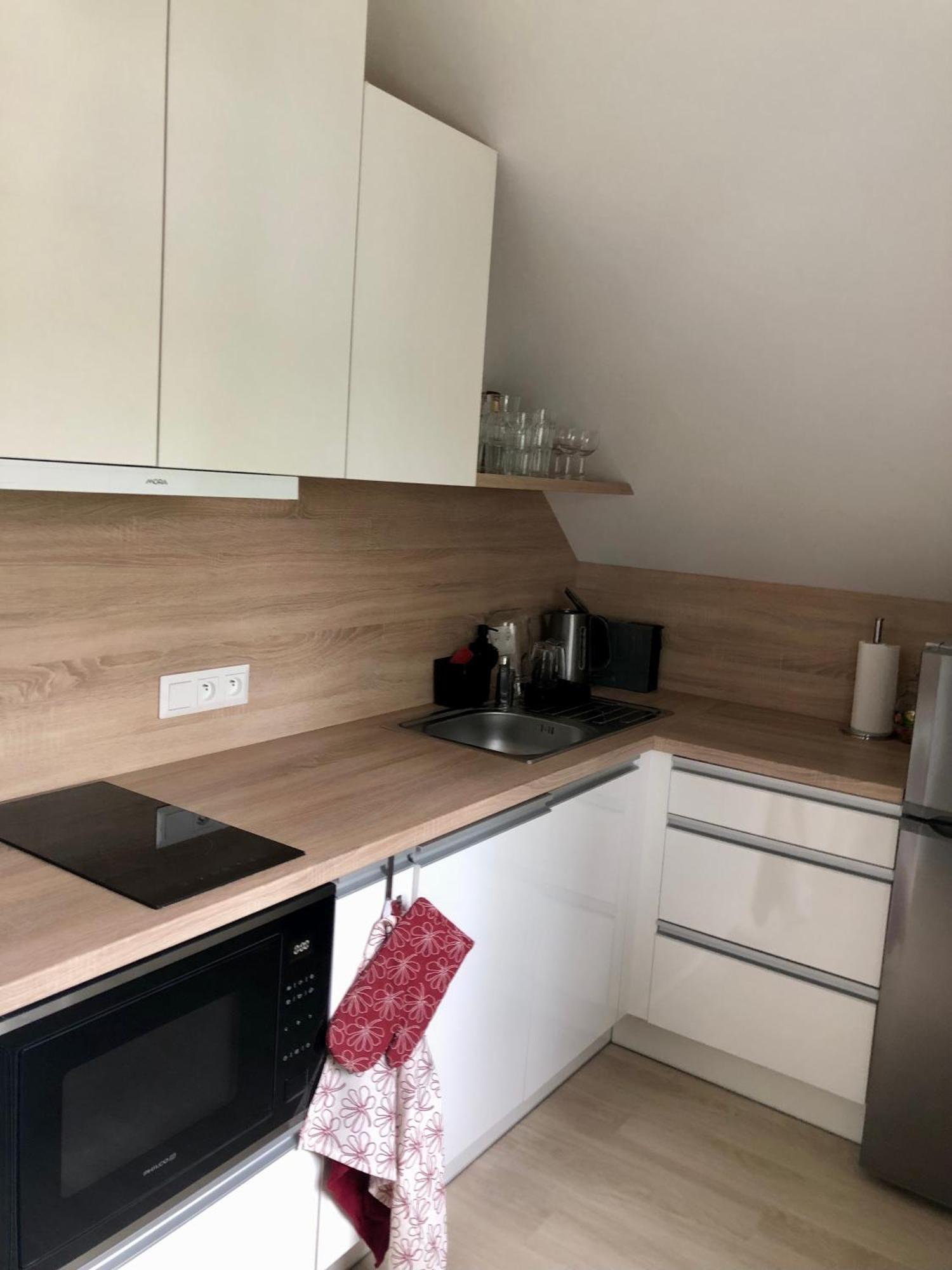 Apartman Krusne Hory - Erzgebirge Horní Blatná 外观 照片