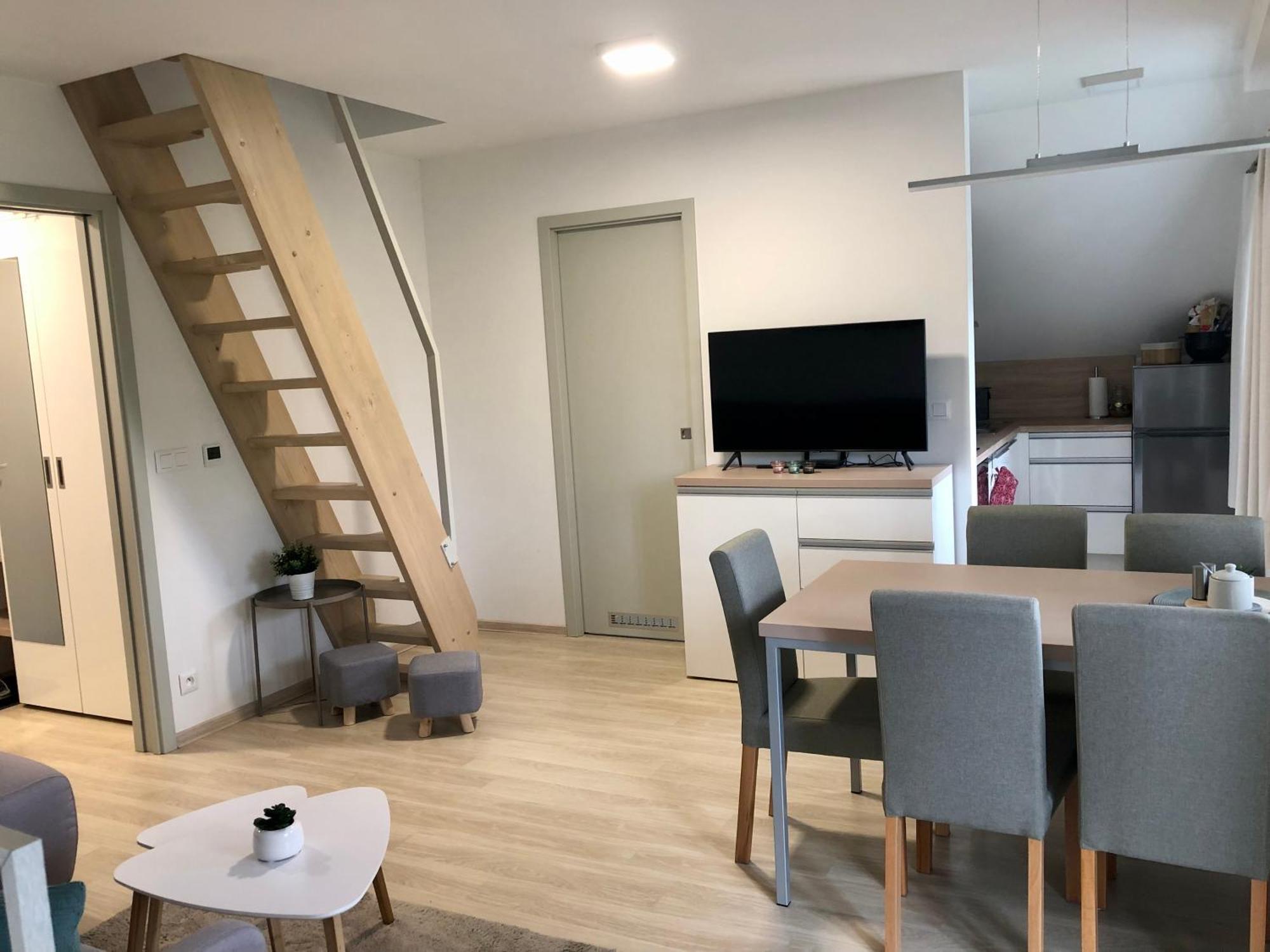 Apartman Krusne Hory - Erzgebirge Horní Blatná 外观 照片