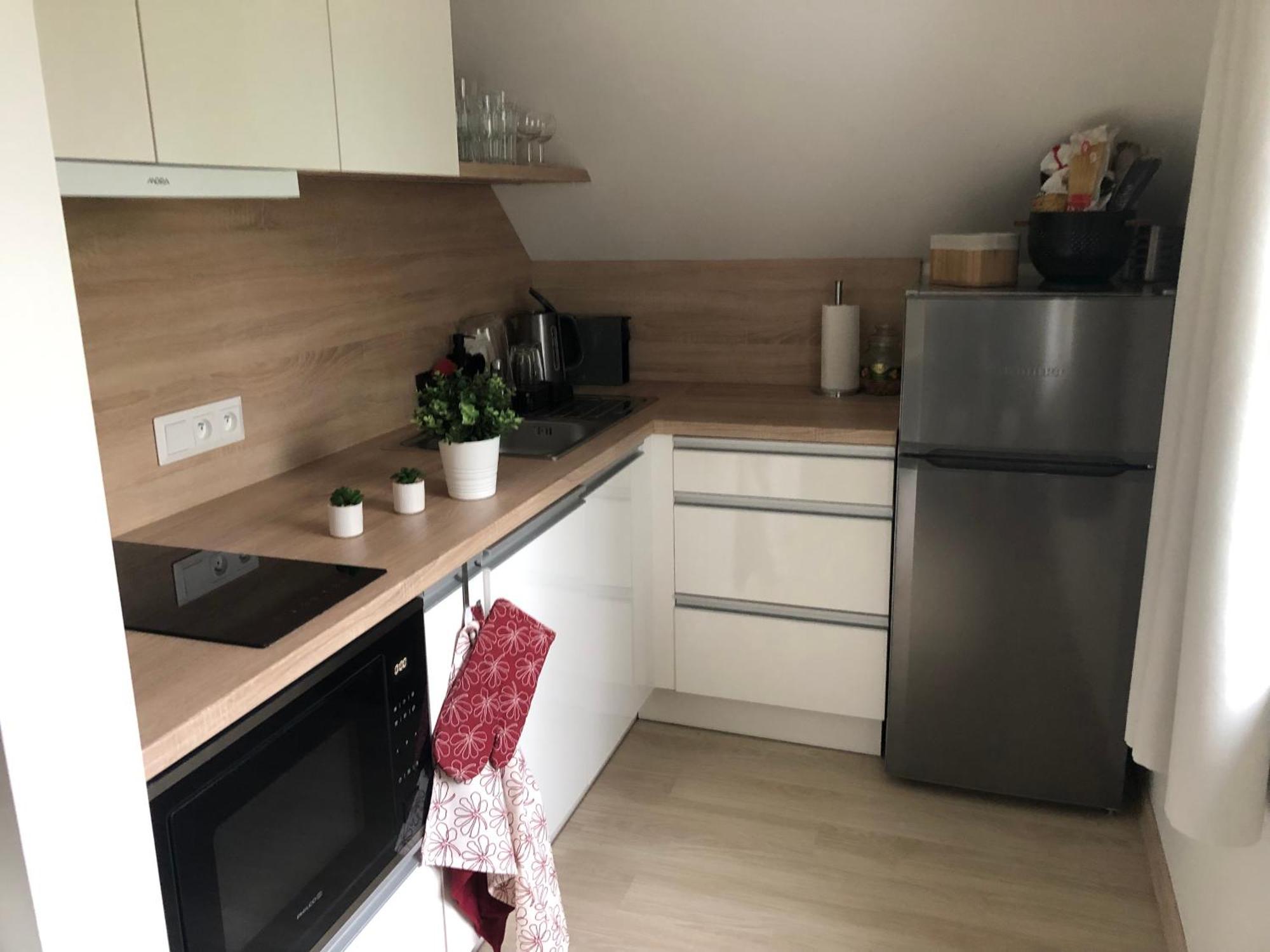 Apartman Krusne Hory - Erzgebirge Horní Blatná 外观 照片